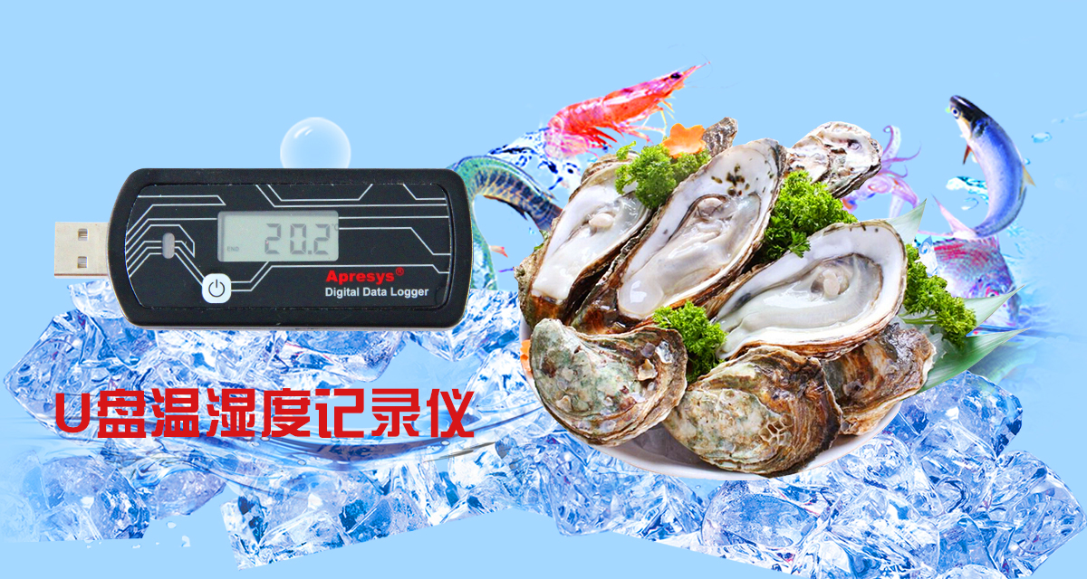 U盤溫度記錄儀179-DT